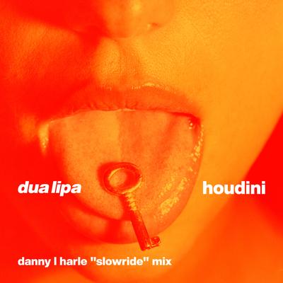 Houdini (Danny L Harle Slowride Mix) By Dua Lipa's cover