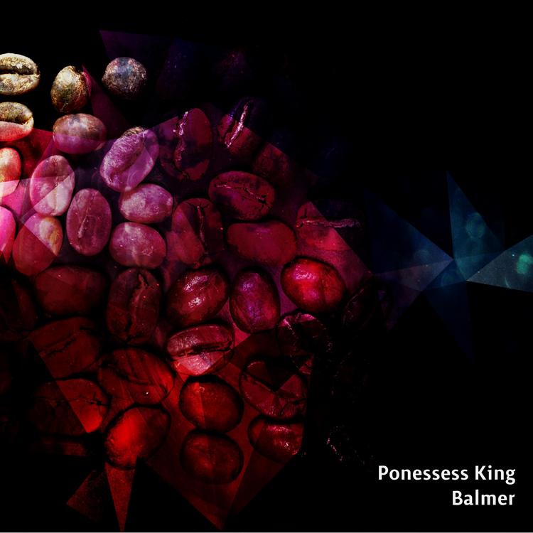 Ponessess King's avatar image