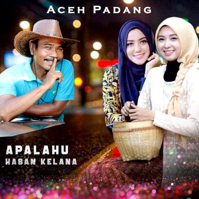 ACEH PADANG (Remix)'s cover