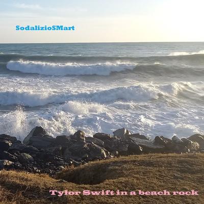 Tylor Swift in a Beach Rock's cover