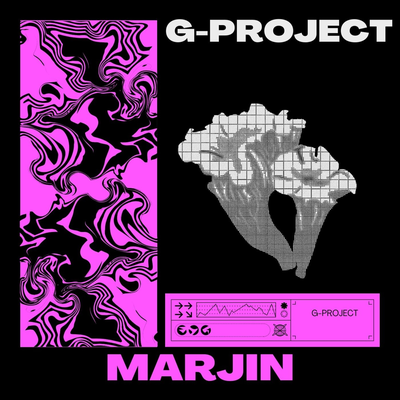 G-Project's cover