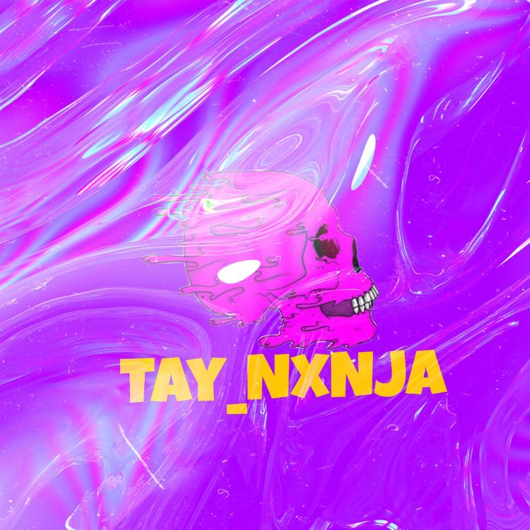 TAY_NXNJA's avatar image