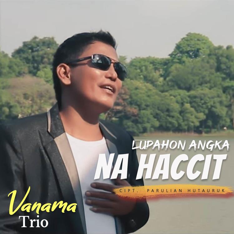 Vanama Trio's avatar image