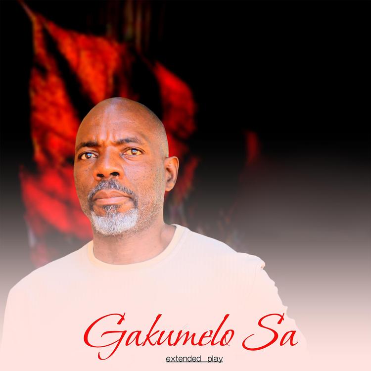 Gakumelo sa's avatar image