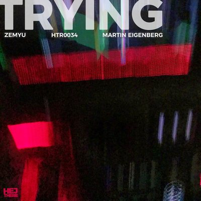 Trying (Radio-Edit) By Martin Eigenberg, Zemyu's cover