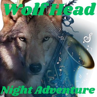Night Adventure (Instrumental)'s cover