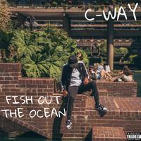 C-Way's avatar cover