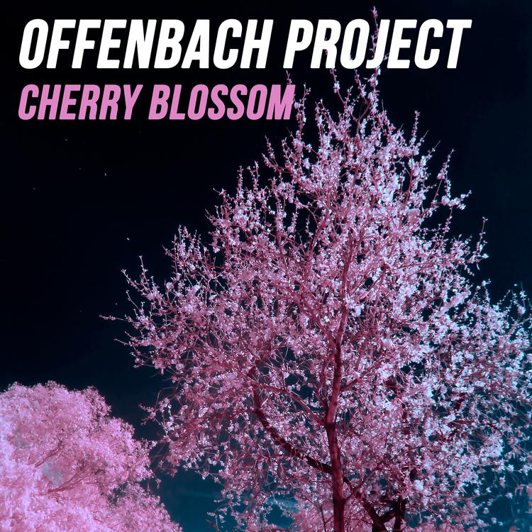 Offenbach Project's avatar image