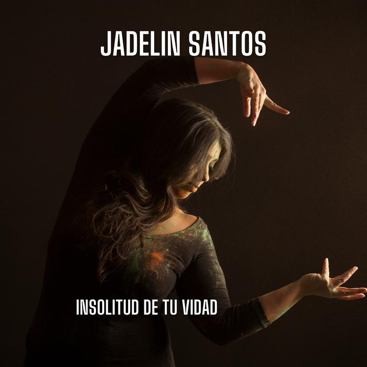 jadelin santos's avatar image