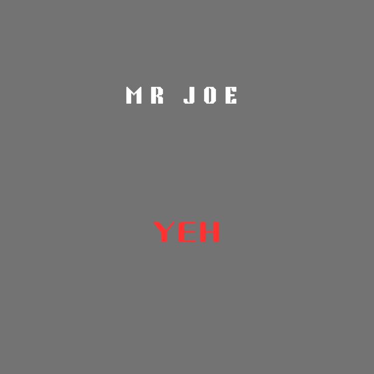 Mr Joe's avatar image