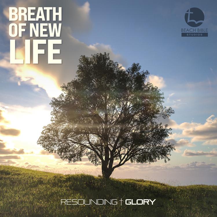 Resounding Glory's avatar image