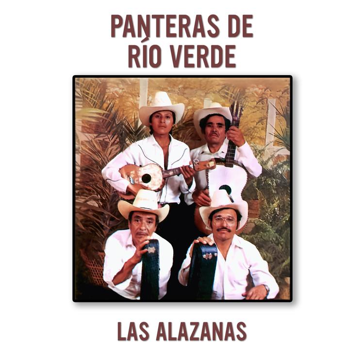 Panteras De Río Verde's avatar image