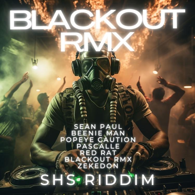 Blackout RMX's avatar image