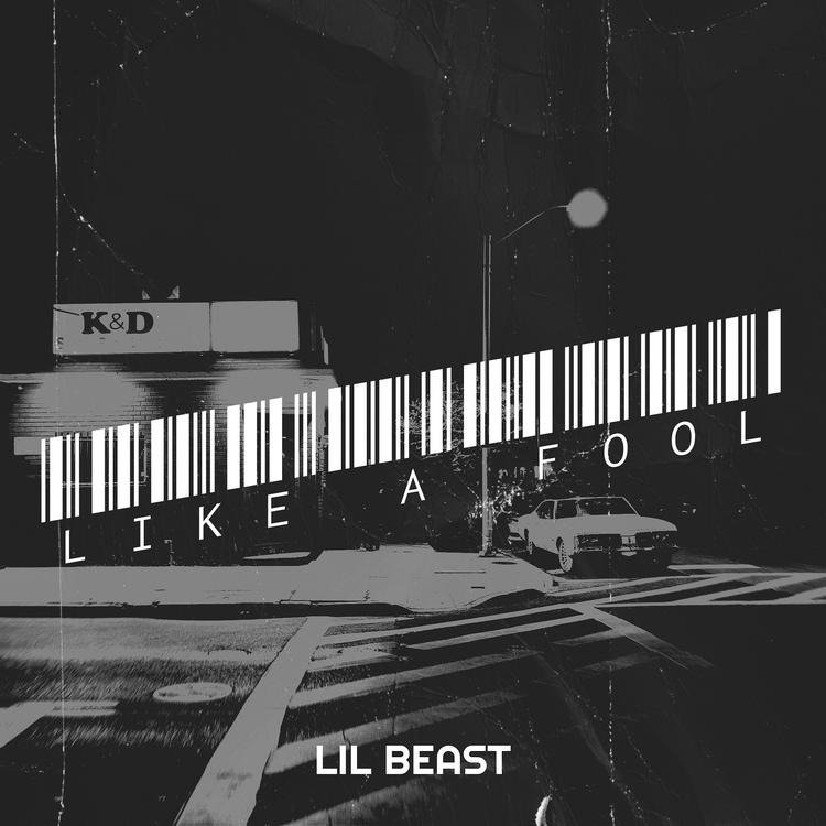 Lil Beast's avatar image