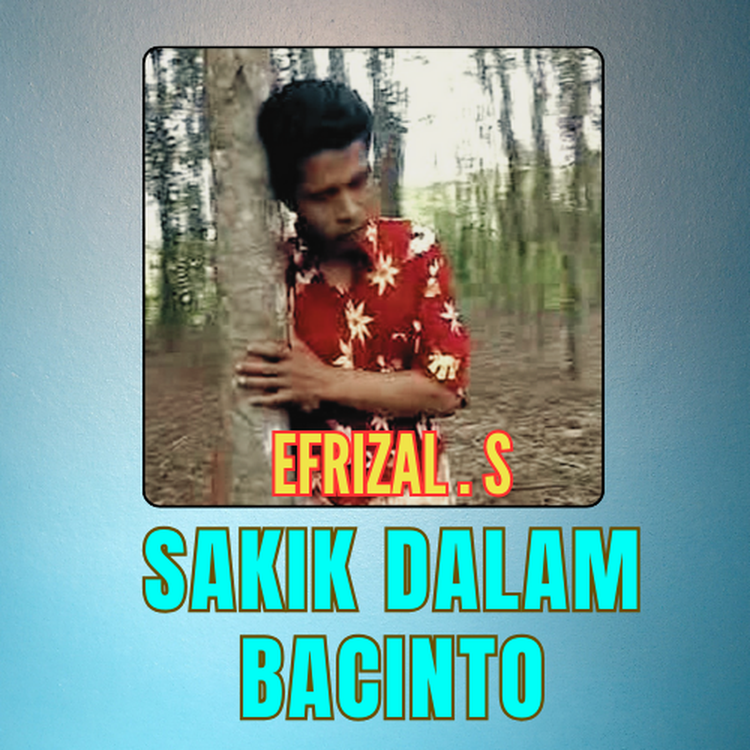 Efrizal S's avatar image