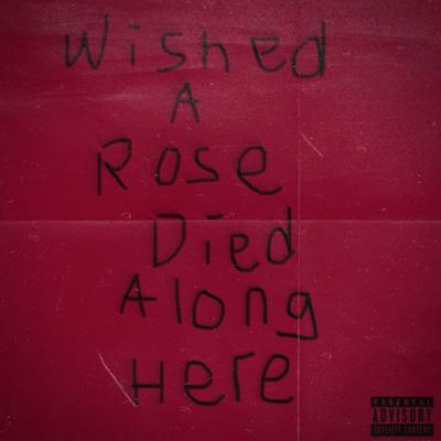 WISHED A ROSE DIED ALONG HERE (sped up)'s cover