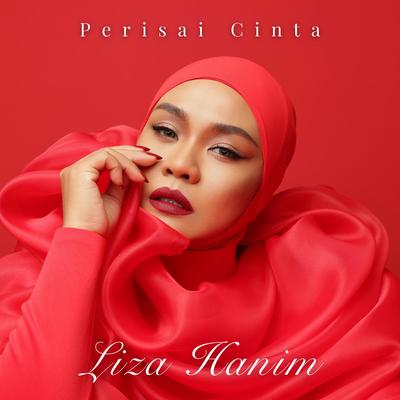 Perisai Cinta (From "Ternyata Sebuah Bahagia")'s cover