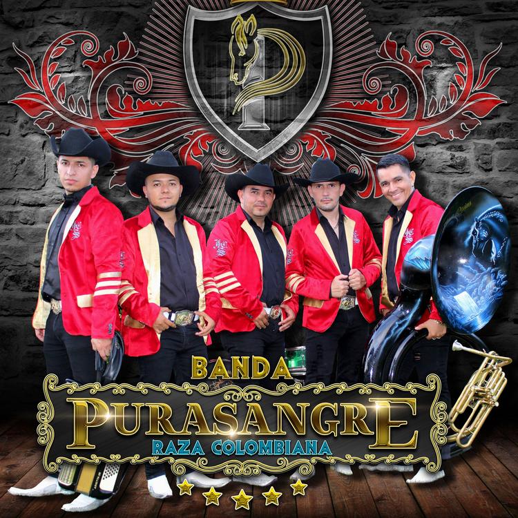 Banda PuraSangre Raza Colombiana's avatar image