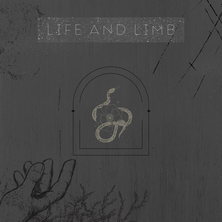 Life and Limb's avatar image