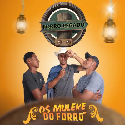 Os Molekes do Forró's cover