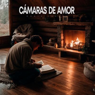 Cámaras de Amor's cover