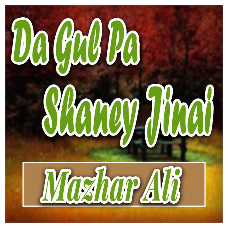 Mazhar Ali's avatar image