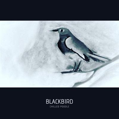 Blackbird (En acústico) By Chilledpoodle's cover