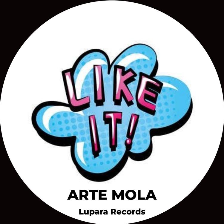 Arte Mola's avatar image