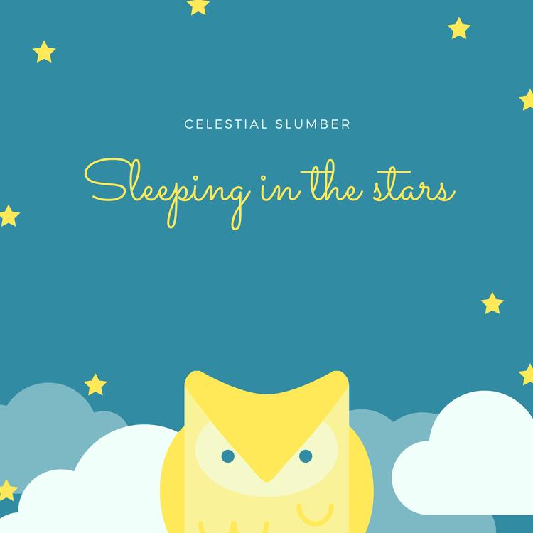 Sleeping in the Stars's avatar image