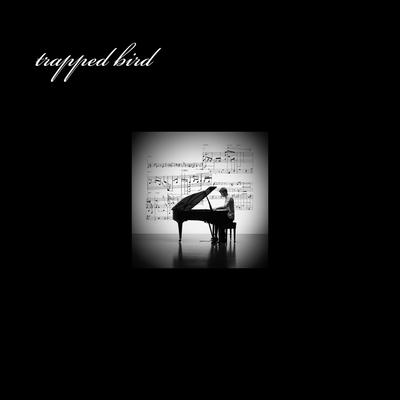 trapped bird's cover