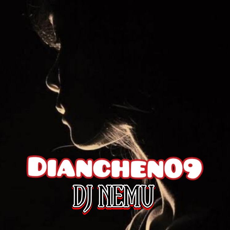 Dianchen09's avatar image