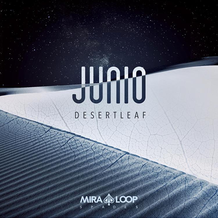 Junio's avatar image