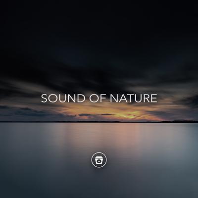 Sound Of Nature's cover