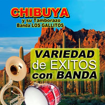 Chibuya Y Su Tamborazo Banda Los Gallitos's cover