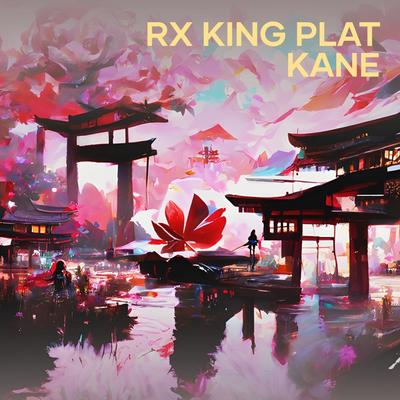 Rx King Plat Kane (Remix)'s cover