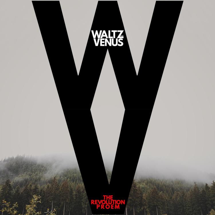 Waltz for Venus's avatar image