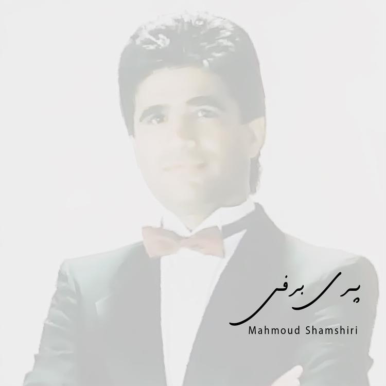 Mahmoud Shamshiri's avatar image