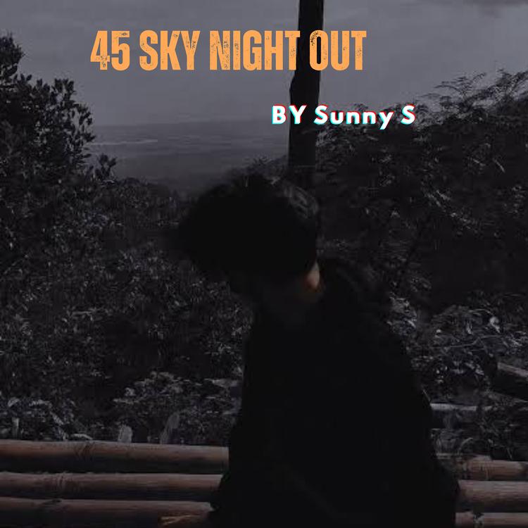 Sunny S's avatar image