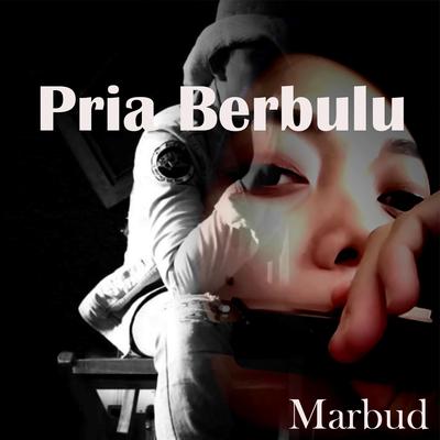 Pria Berbulu's cover