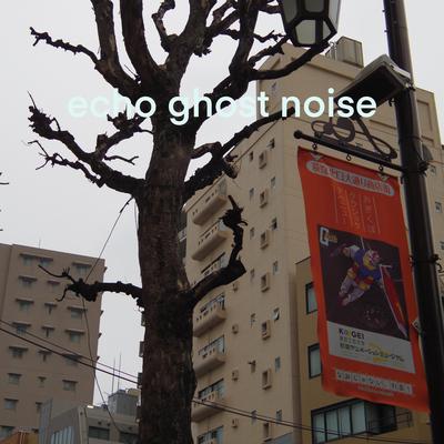 echo ghost noise's cover