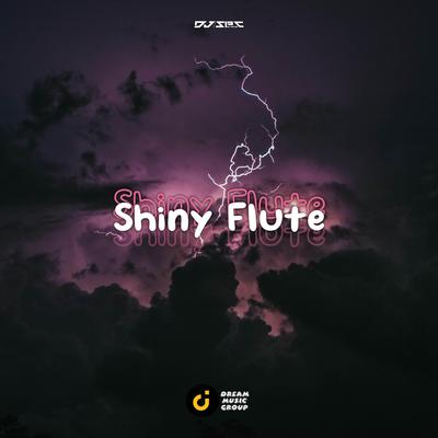 Shiny Flute By DJ Spc On The Mix's cover
