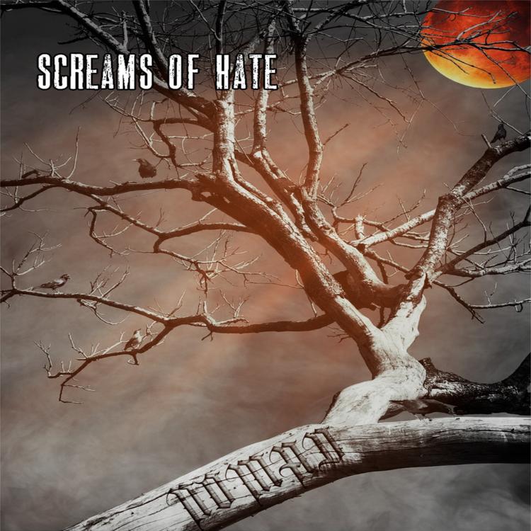 Screams Of Hate's avatar image