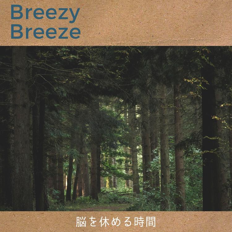 Breezy Breeze's avatar image