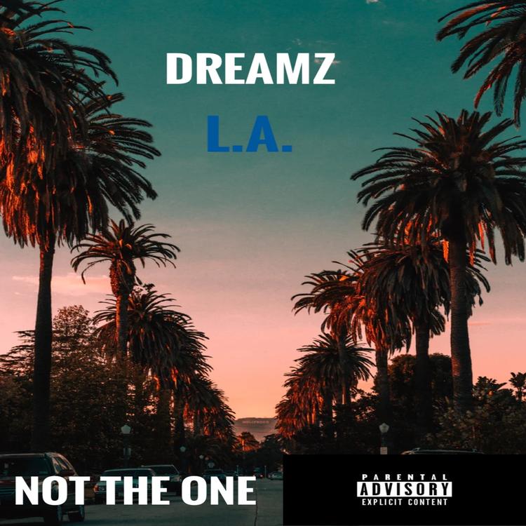 DREAMZ L.A.'s avatar image