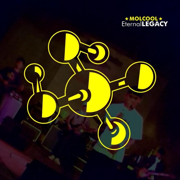 Molcool's avatar image
