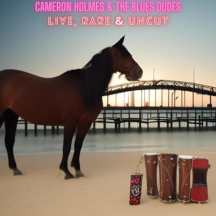 Cameron Holmes & The Blues Dudes's avatar image