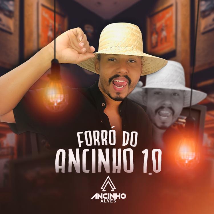 ANCINHO ALVES's avatar image