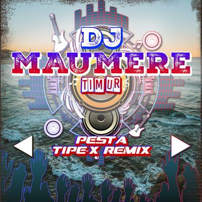 DJ Pesta Tipe-X Remix's cover