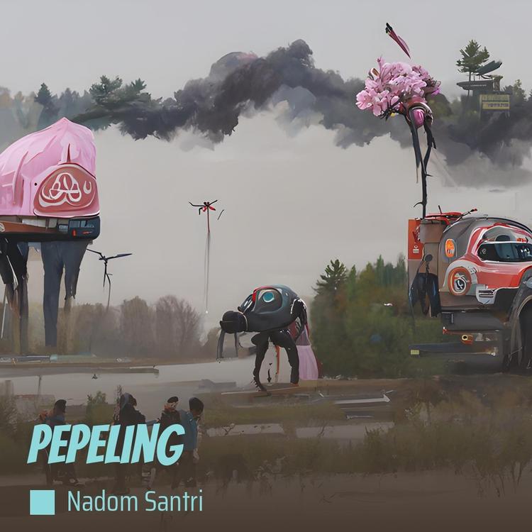 NADOM SANTRI's avatar image
