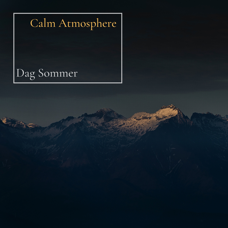 Dag Sommer's avatar image